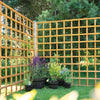 Forest Garden Square Lattice Trellis - 1830 x 1830mm