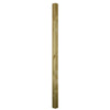 Incised Timber Fence Post - 100 x 100 x 2400mm